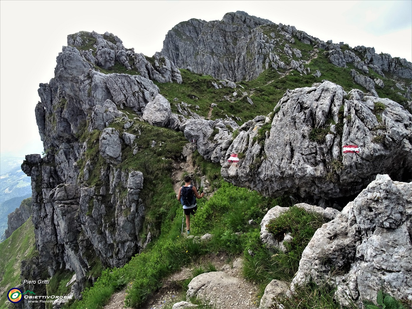 32 In cresta fiorita di Camedrio alpino saliscendi  tra massi e spuntoni rocciosi.JPG